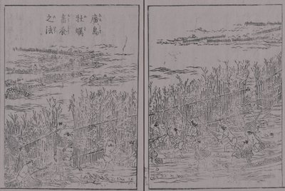 Illustrazione di prodotti famosi di montagna e mare del Giappone, Volume 3, Hiroshima Momo, Metodo di coltivazione di Hiroshima Momo da 蔀関月 Kangetsu